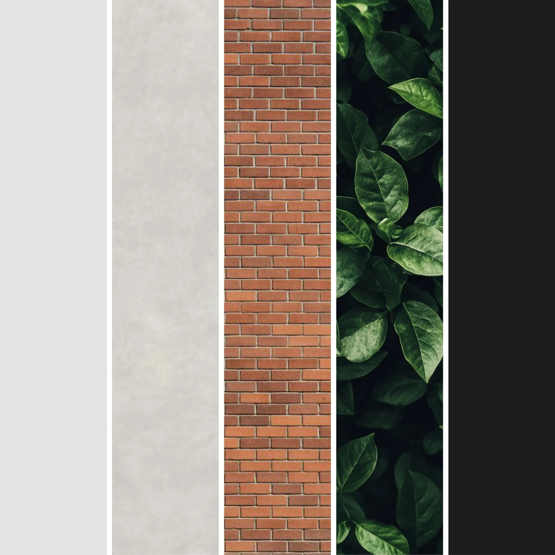 Paleta de colores